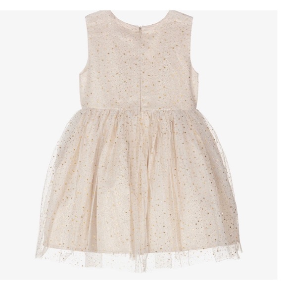 NWT Rachel Riley Girls Ivory & Gold
Tulle Dress - Picture 3 of 8